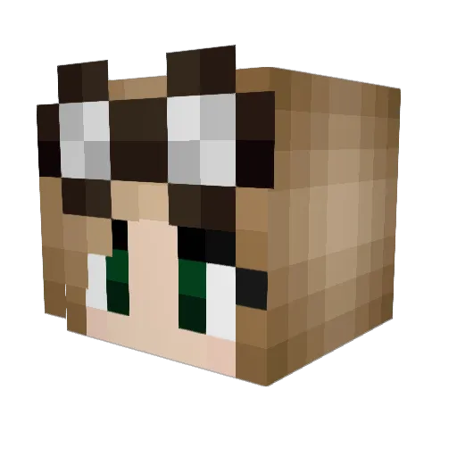 TheMorrigan93 Minecraft avatar head, 3D render