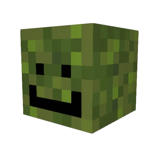 TheMossyToe Minecraft avatar head, 3D render