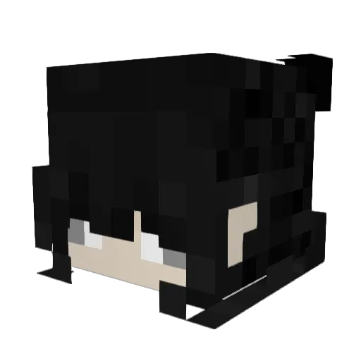 TheMostRandm Minecraft avatar head, 3D render
