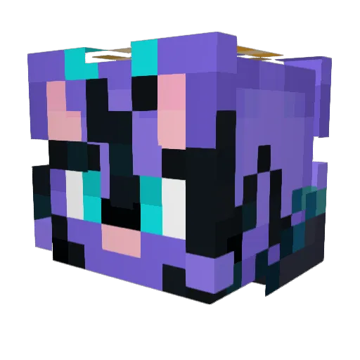 TheMrCatYT Minecraft avatar head, 3D render