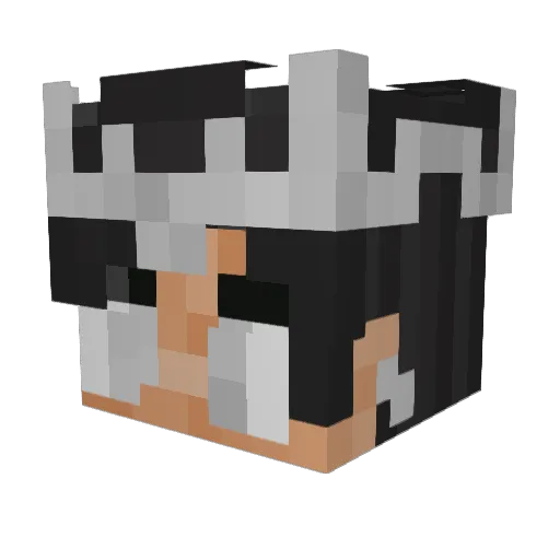 TheMrR14 Minecraft avatar head, 3D render