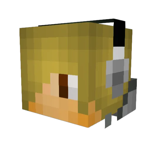 TheMrShortbeach Minecraft avatar head, 3D render