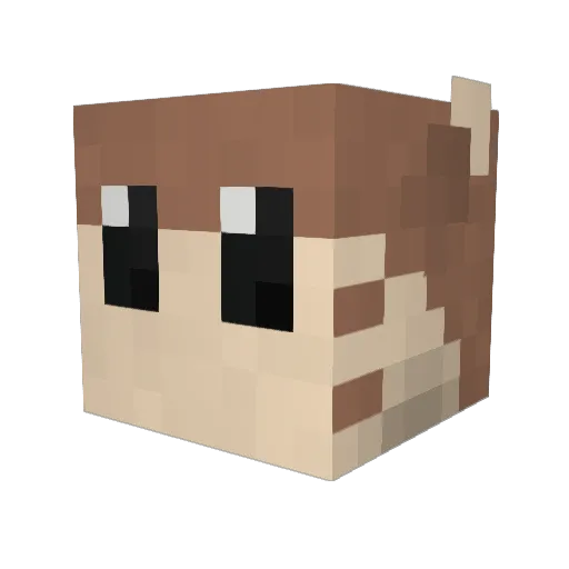 TheMuffinMan2301 Minecraft avatar head, 3D render