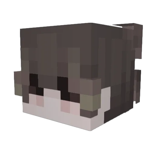 TheMuffinaBG Minecraft avatar head, 3D render