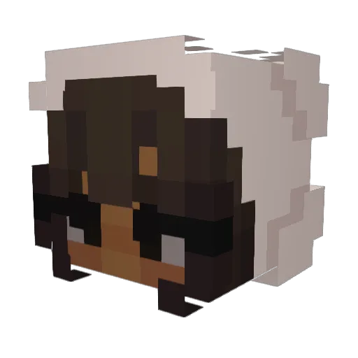 TheMunchlet Minecraft avatar head, 3D render