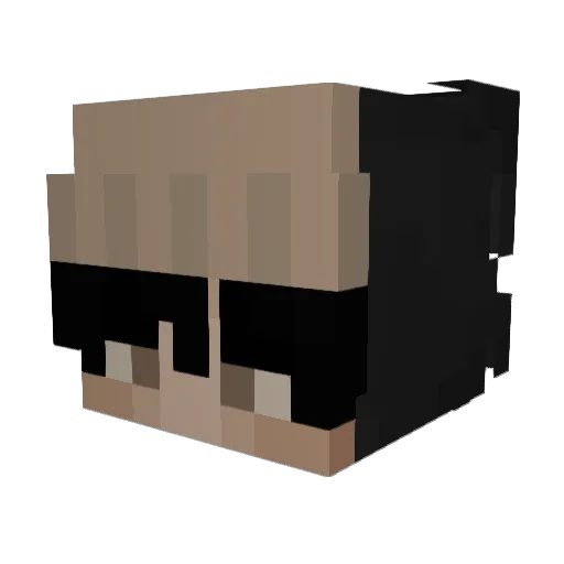 TheNFTGambler Minecraft avatar head, 3D render