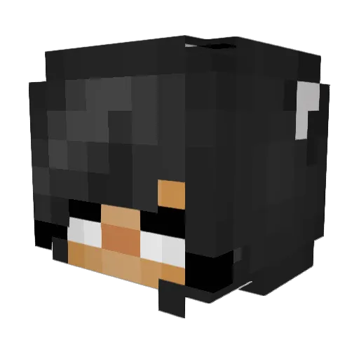 TheNNN Minecraft avatar head, 3D render