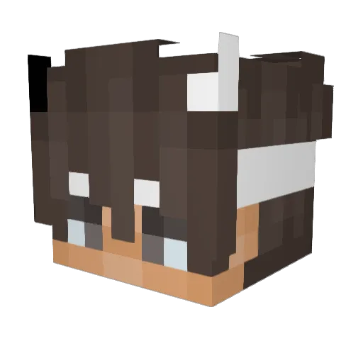 TheNakatron Minecraft avatar head, 3D render