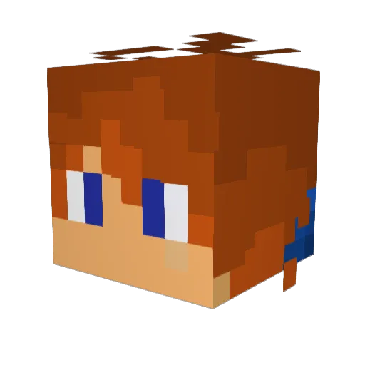 TheNamelessGray1 Minecraft avatar head, 3D render