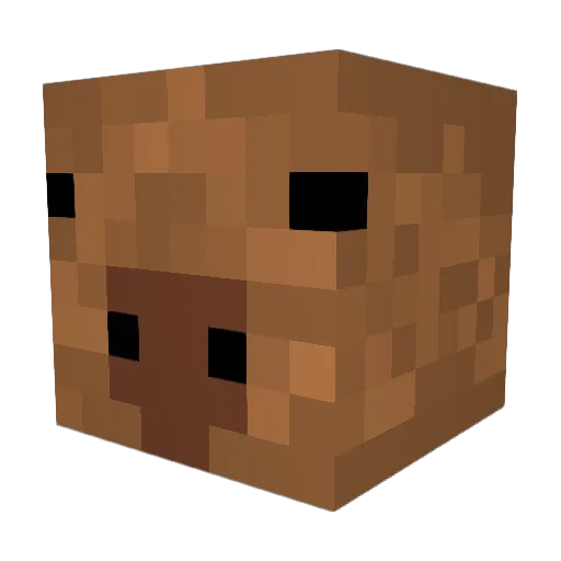 TheNatSide Minecraft avatar head, 3D render