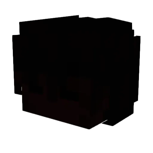 TheNearlyDead Minecraft avatar head, 3D render