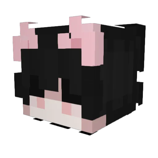 TheNelsS Minecraft avatar head, 3D render