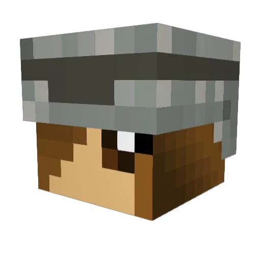 TheNelsonCrew Minecraft avatar head, 3D render