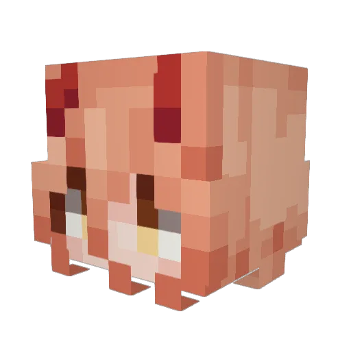 TheNerd1738 Minecraft avatar head, 3D render