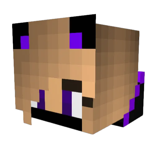 TheNerdyPhoenix Minecraft avatar head, 3D render