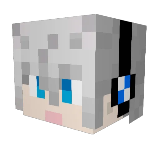TheNether_ Minecraft avatar head, 3D render