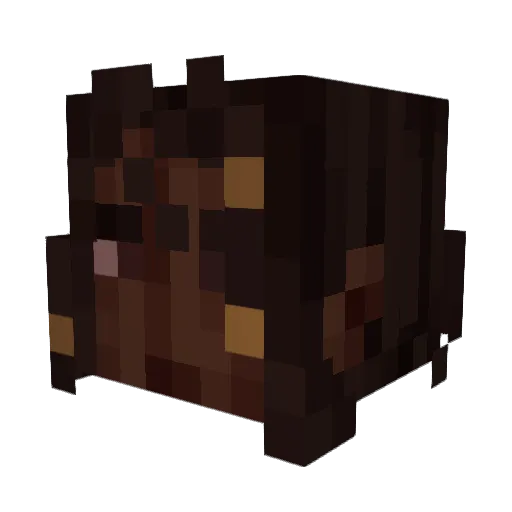 TheNetherowy Minecraft avatar head, 3D render