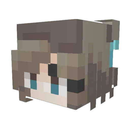 TheNewAbnormal_ Minecraft avatar head, 3D render