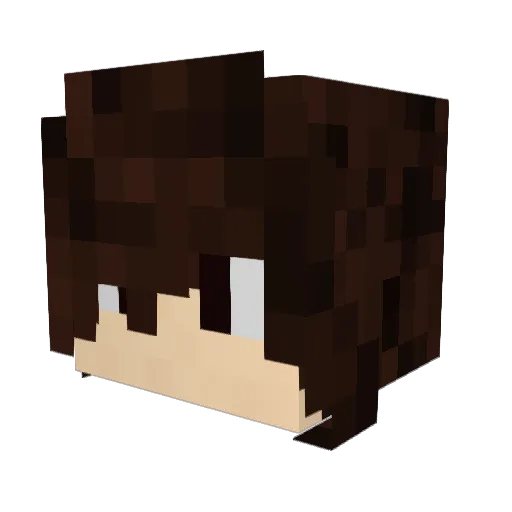 TheNewEntropy Minecraft avatar head, 3D render