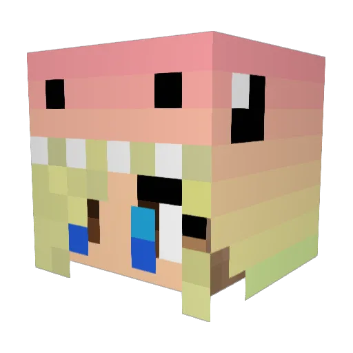 TheNewGuy2424 Minecraft avatar head, 3D render
