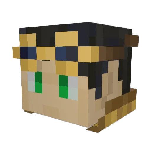 TheNewThatYak Minecraft avatar head, 3D render