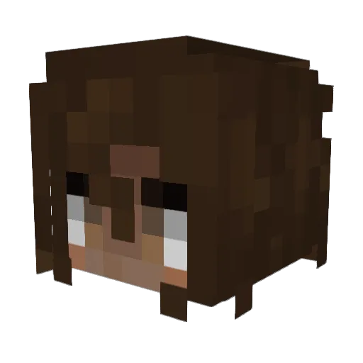 TheNexusSystem Minecraft avatar head, 3D render