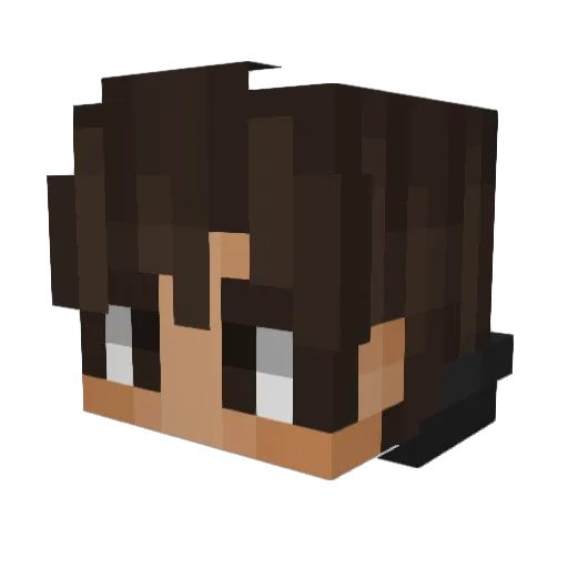 TheNexus_ Minecraft avatar head, 3D render