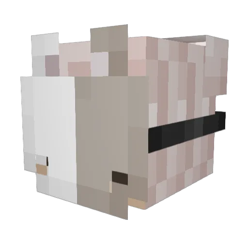 TheNiadStyx00 Minecraft avatar head, 3D render