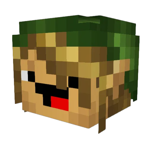 TheNiallMc Minecraft avatar head, 3D render