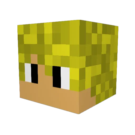 TheNice_Guy Minecraft avatar head, 3D render