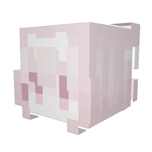 TheNightcrawler Minecraft avatar head, 3D render
