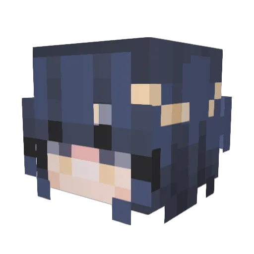 TheNineTailedCat Minecraft avatar head, 3D render