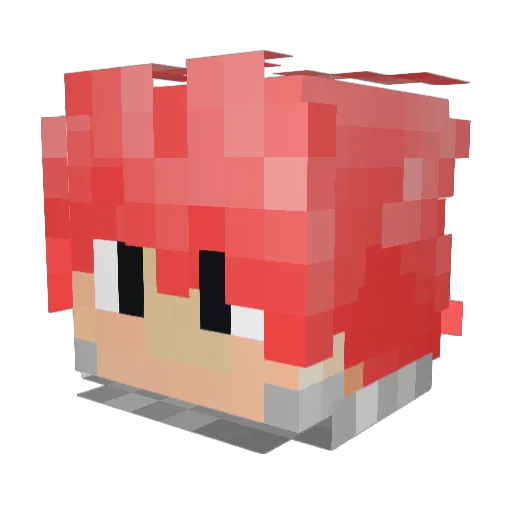 TheNinja4124 Minecraft avatar head, 3D render