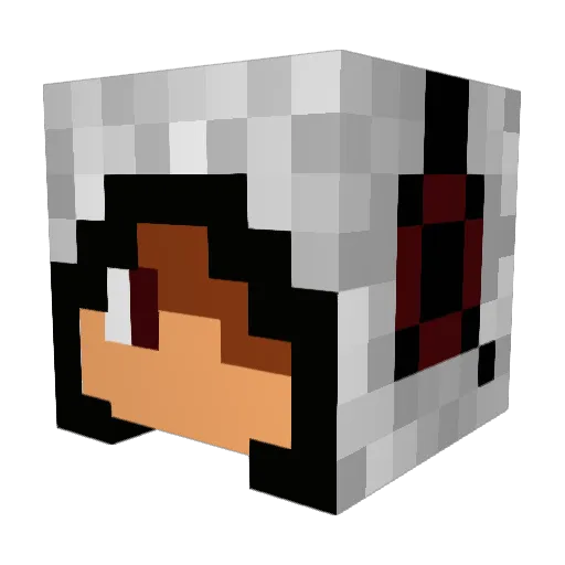 TheNinjaKiller Minecraft avatar head, 3D render