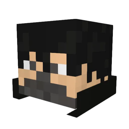TheNinjaReaperZ Minecraft avatar head, 3D render
