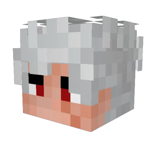TheNinjaVxV Minecraft avatar head, 3D render