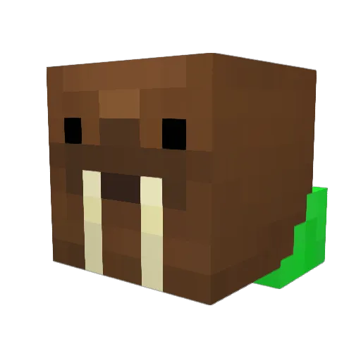 TheNinjaWalrus Minecraft avatar head, 3D render