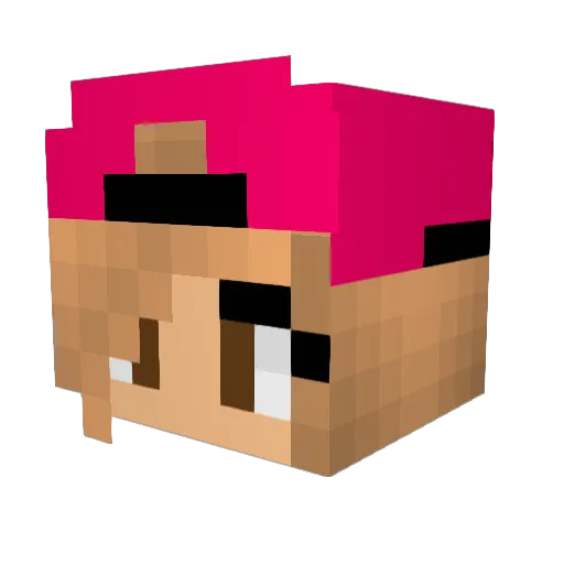 TheNokiLP Minecraft avatar head, 3D render