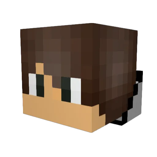 TheNonSkiller Minecraft avatar head, 3D render