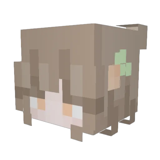 TheNorthBound Minecraft avatar head, 3D render