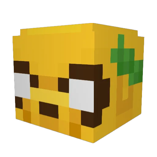 TheNotBuller Minecraft avatar head, 3D render