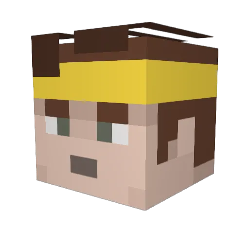 TheNuclearGoose Minecraft avatar head, 3D render