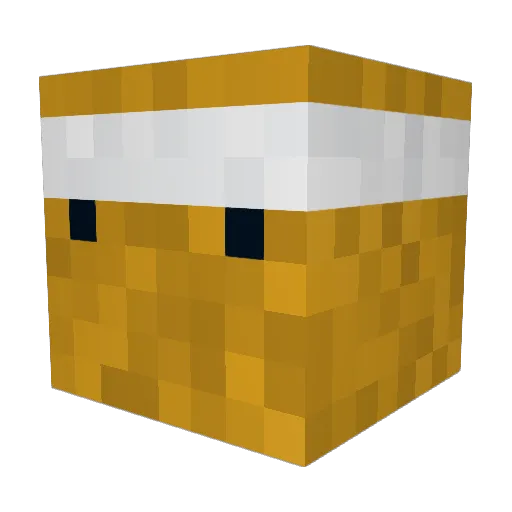 TheNuggetGod339 Minecraft avatar head, 3D render