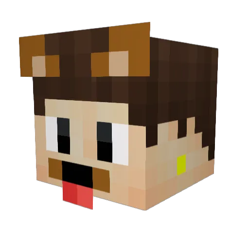 TheNumberLauty Minecraft avatar head, 3D render