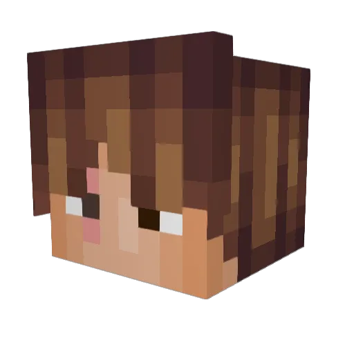 TheObservist Minecraft avatar head, 3D render