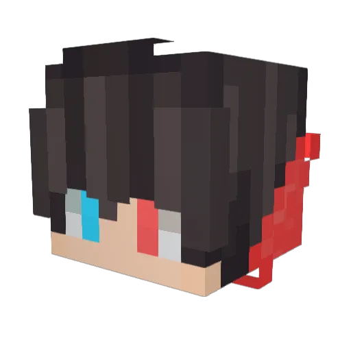 TheOfficialBirdy Minecraft avatar head, 3D render