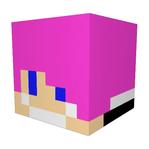 TheOfficialDuck Minecraft avatar head, 3D render