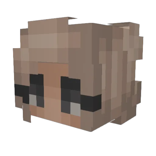 TheOfficialMe Minecraft avatar head, 3D render