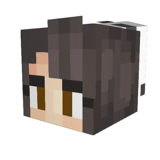 TheOmegaV3 Minecraft avatar head, 3D render