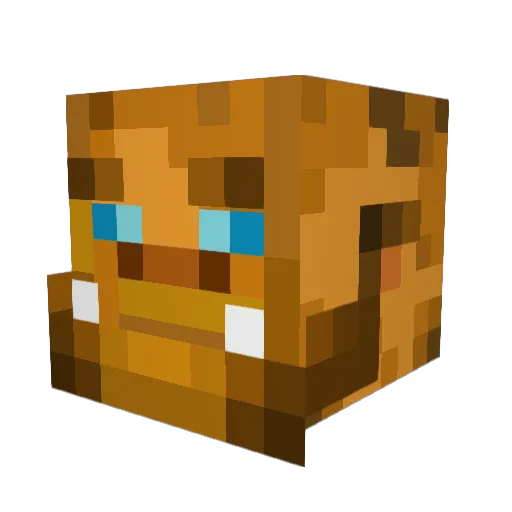 TheOminousOwl Minecraft avatar head, 3D render